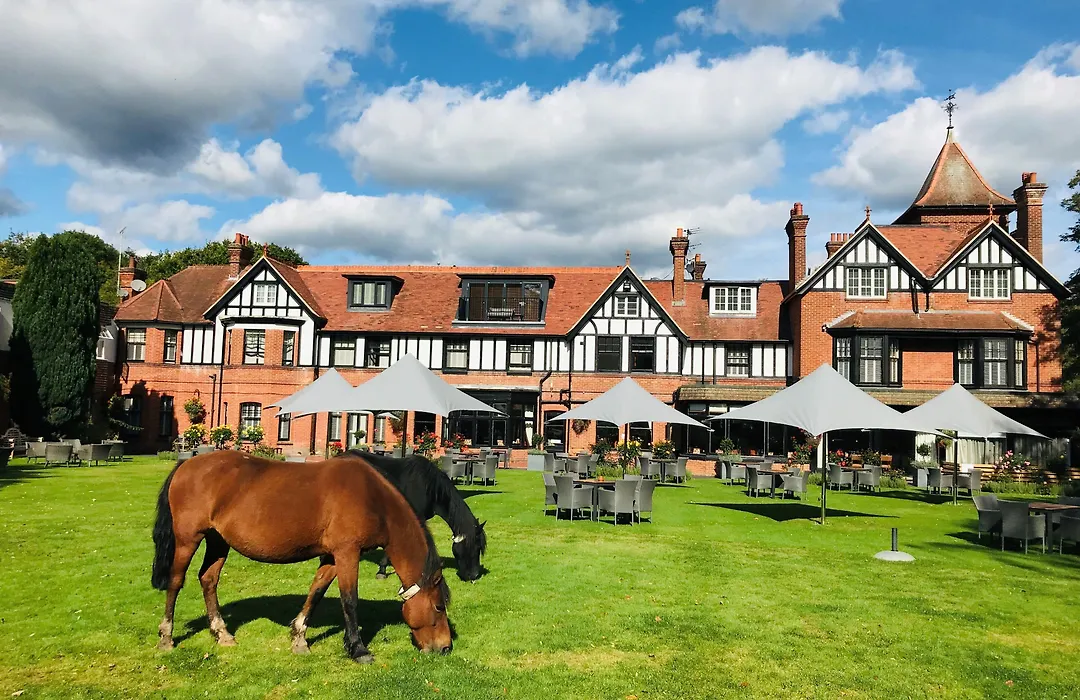 Forest Park Country Hotel & Inn, Brockenhurst, New Forest, Hampshire - The Coaching Inn Group-1