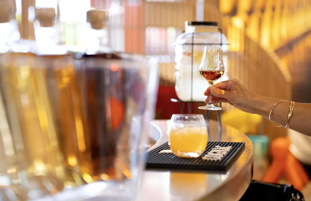 Ibis Styles Cognac-1