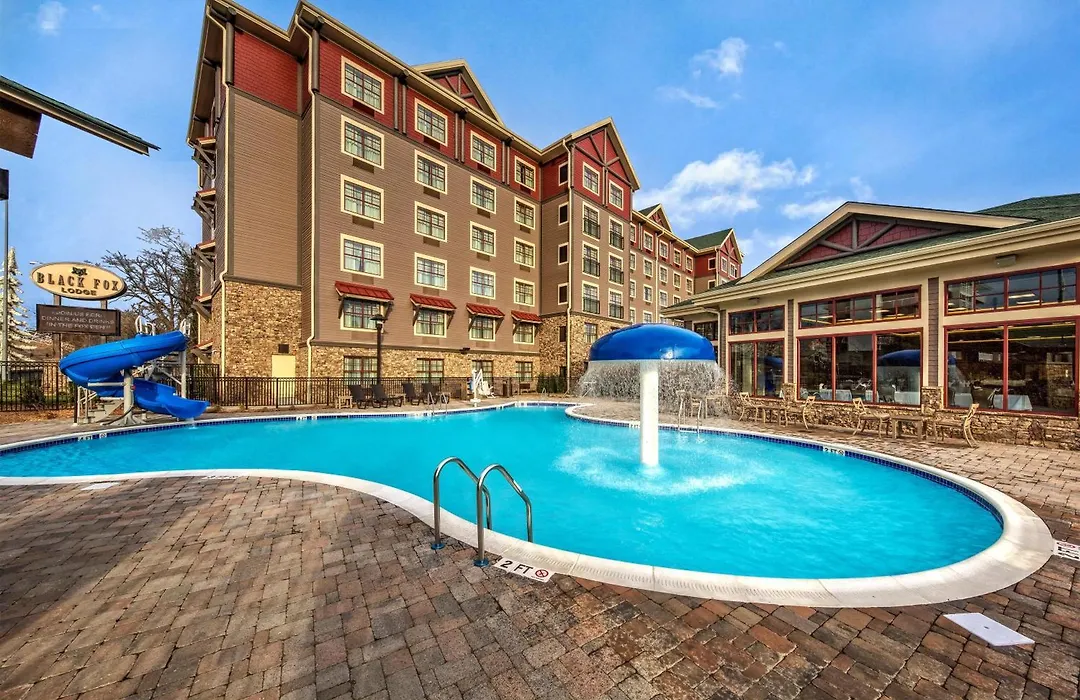 Black Fox Lodge Pigeon Forge, Tapestry Collection By Hilton-1