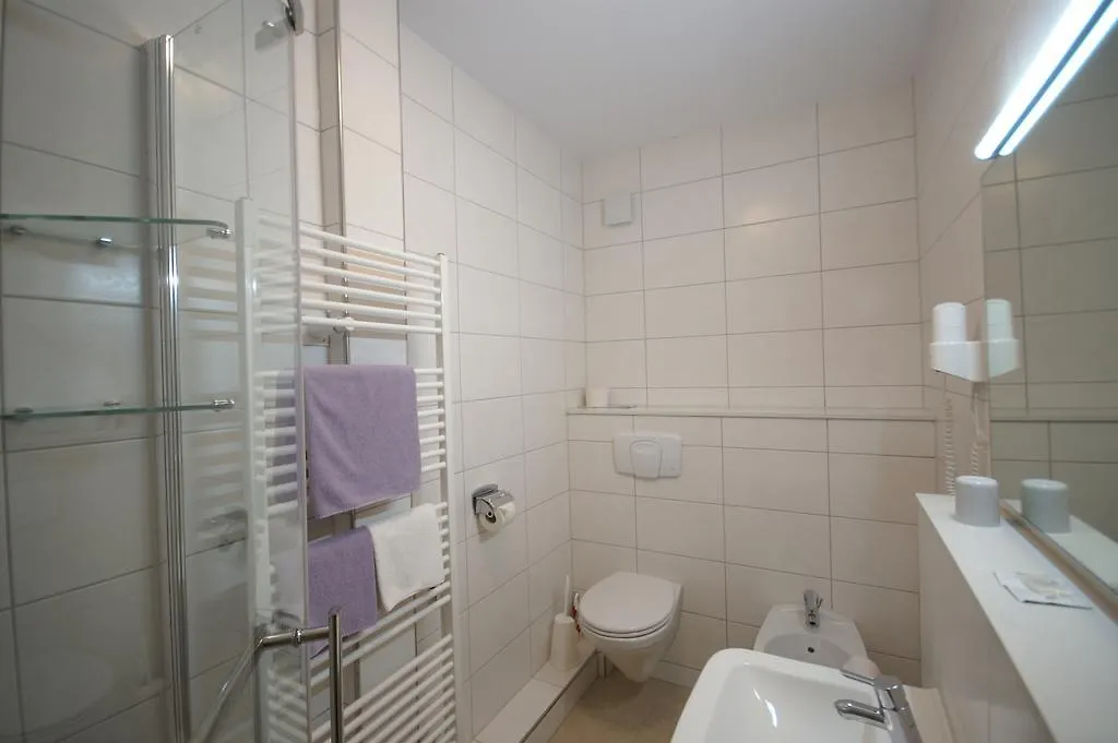 Hotel Weidenau-1