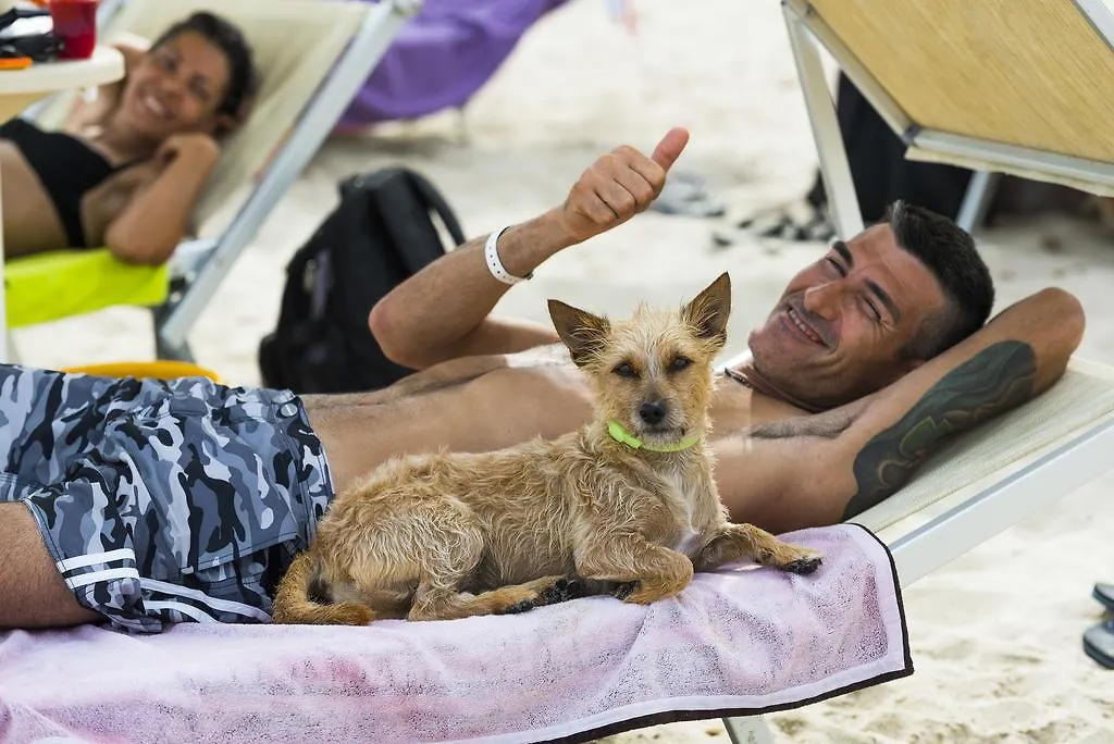 Tiliguerta Glamping&Camping Village-1