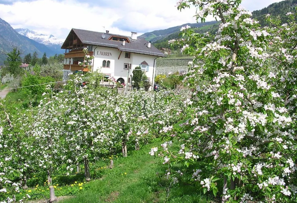 Pension Laurin-1