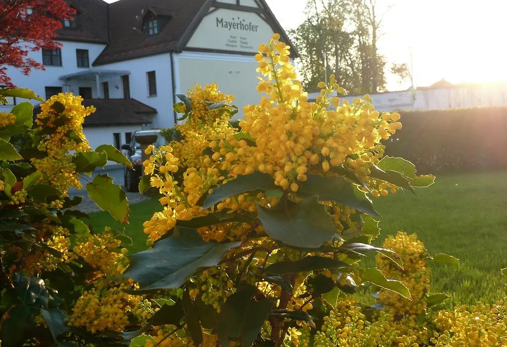Hotel-Restaurant Mayerhofer-1