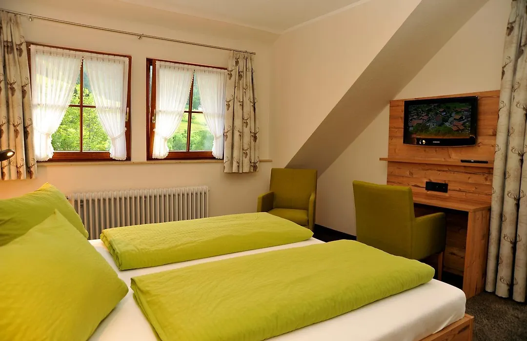 Hotel Gasthaus Zum Hirschen-1
