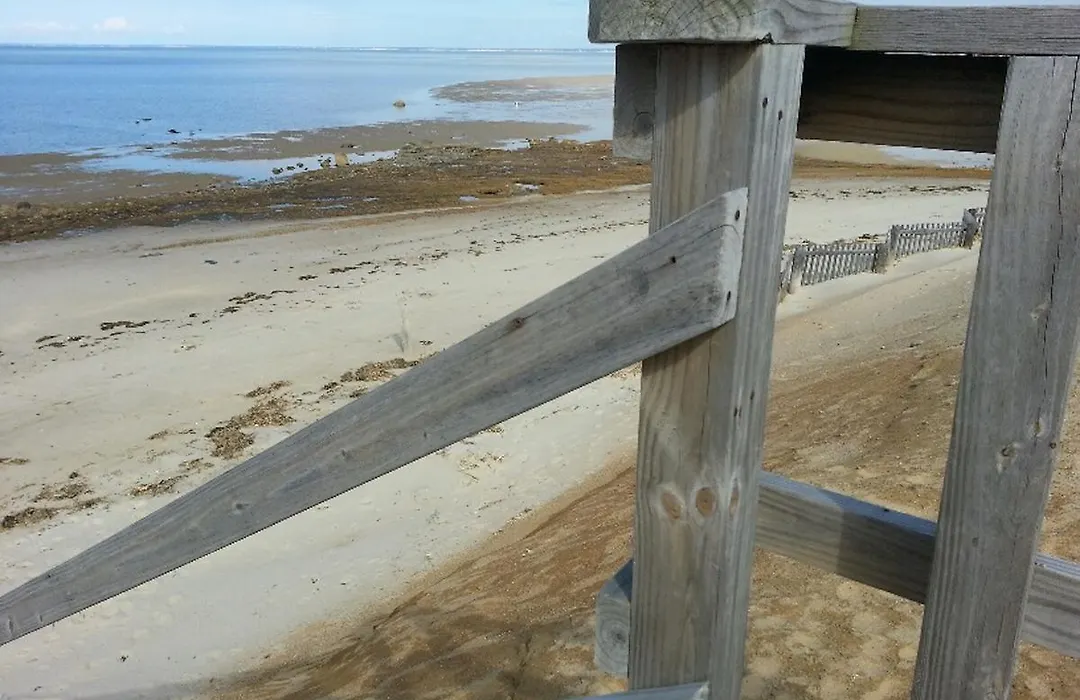 Starlight Lodge Cape Cod-1