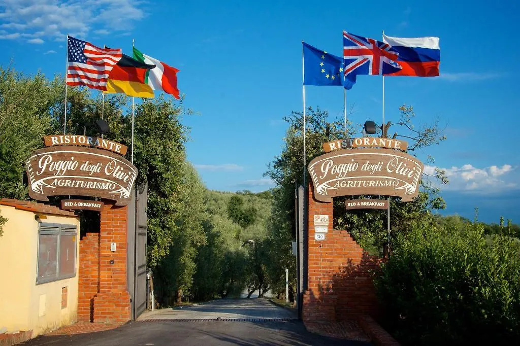Poggio Degli Olivi-1