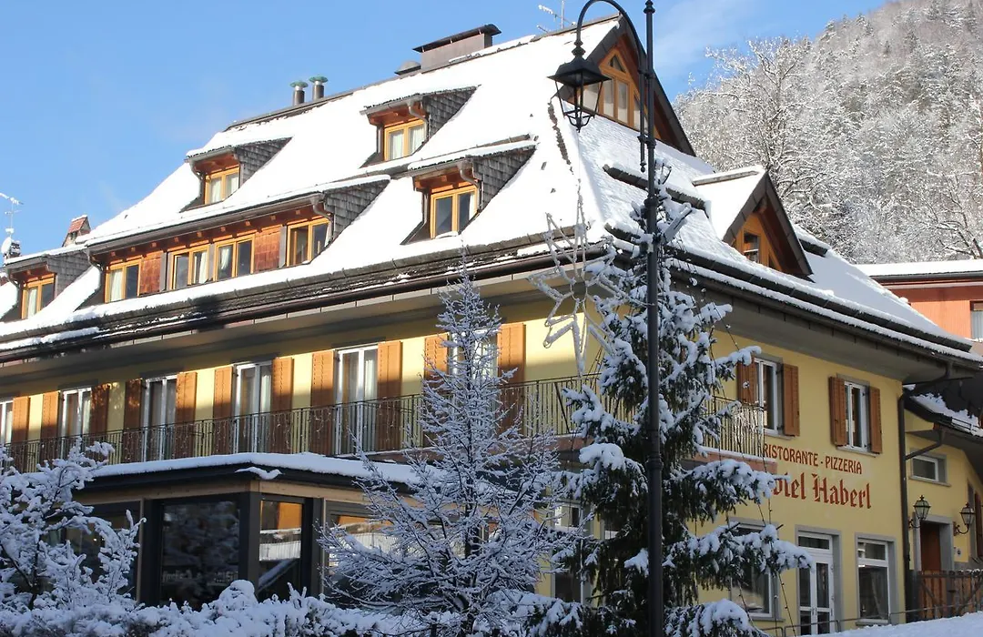 Hotel Haberl-1