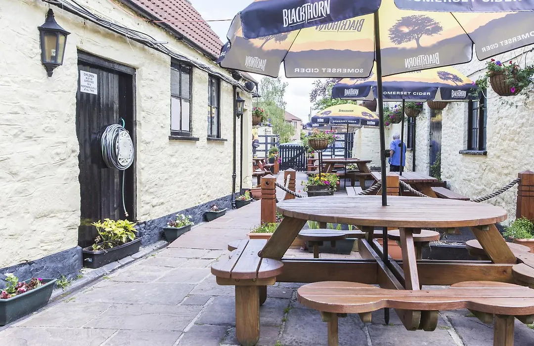 The Swan-1