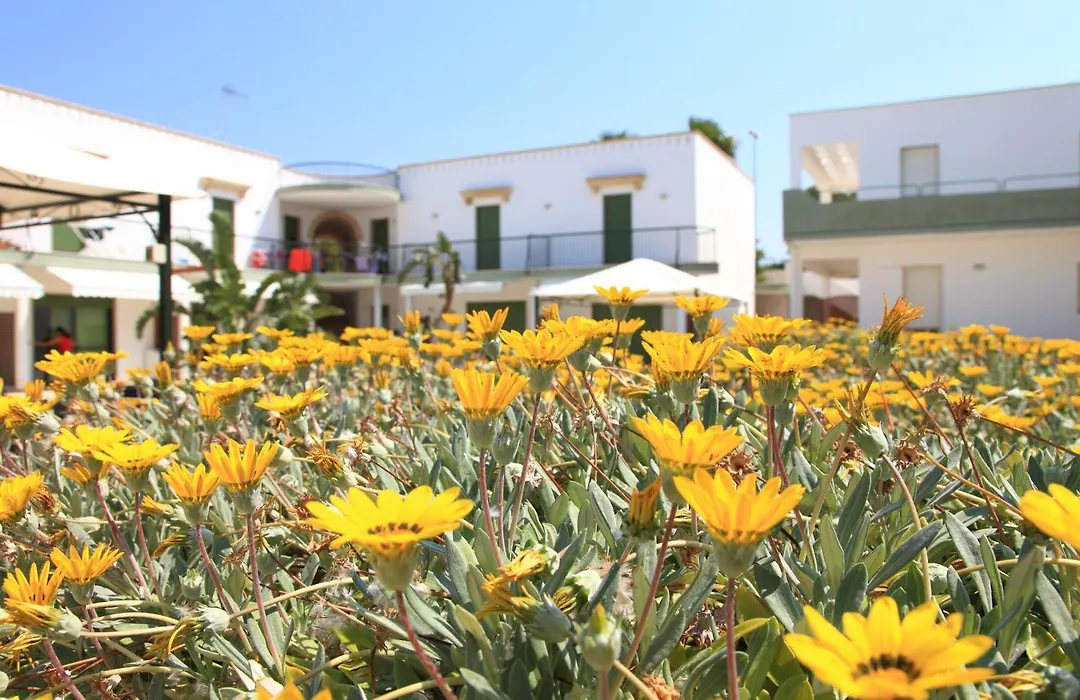 Residence Cala Verde-1