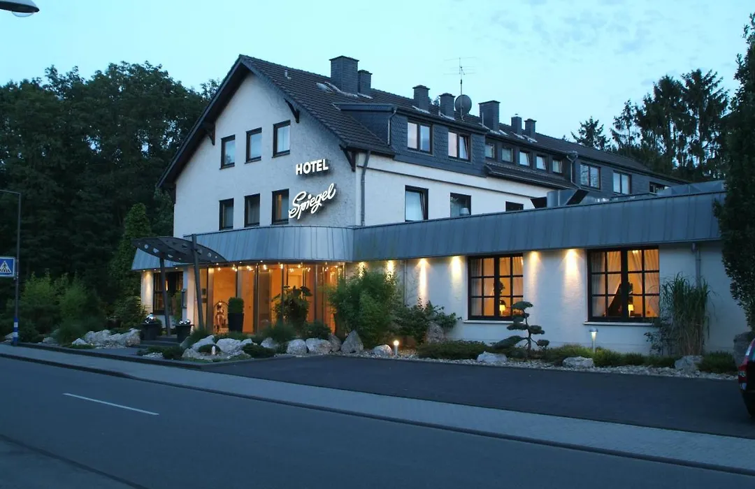 Hotel Spiegel-1