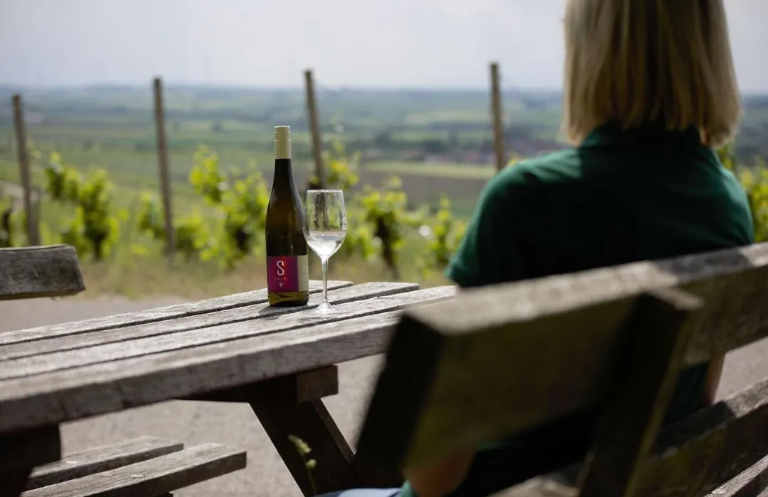 Weingut Schilling-1