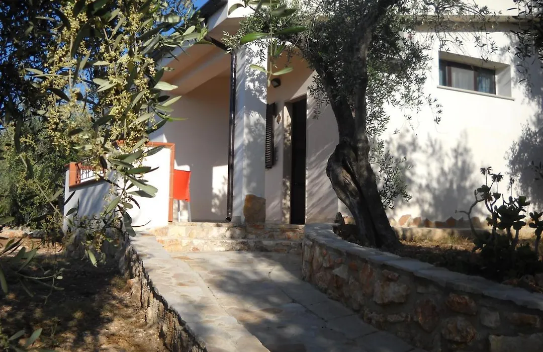 Zagare Residence-1