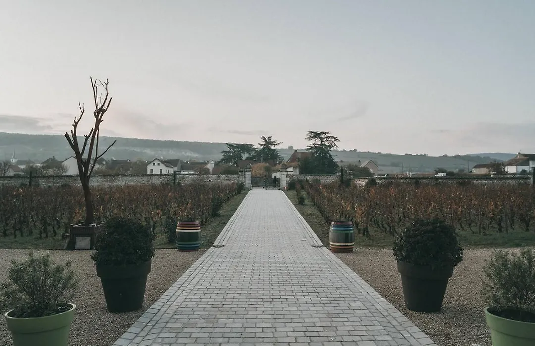 Chateau de Chassagne-Montrachet-1