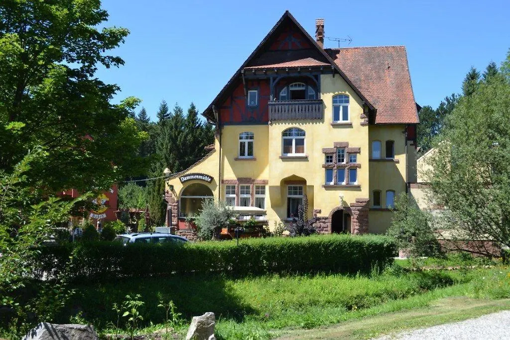 Hotel Dammenmuehle-1