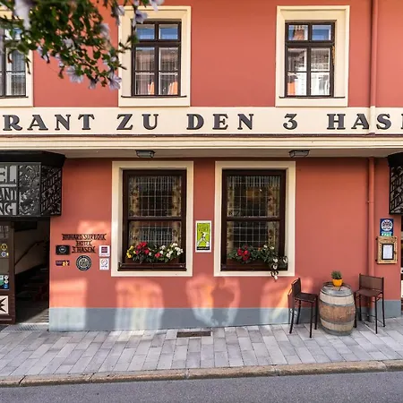 Hotel Drei Hasen-2