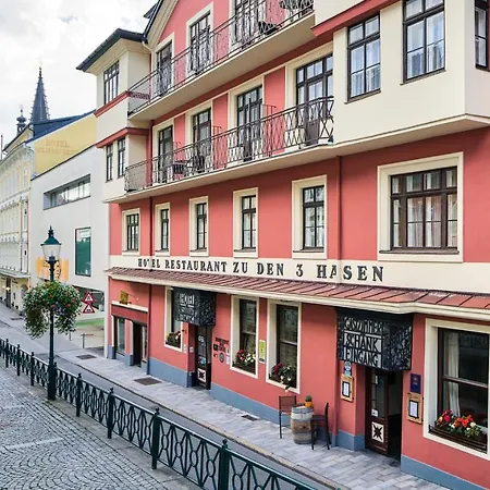Hotel Drei Hasen-3