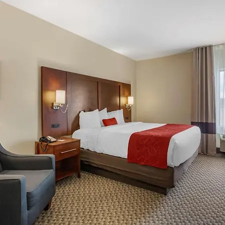 Comfort Suites Cordova-3