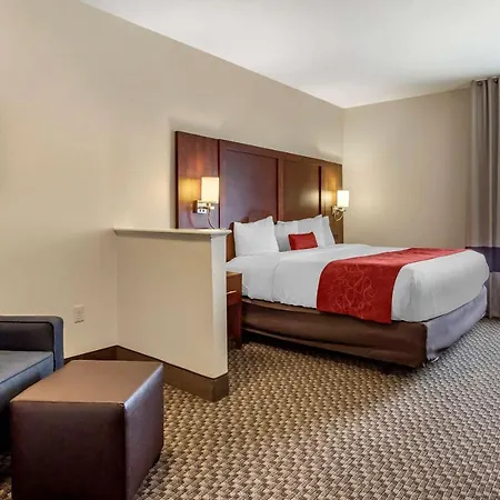 Comfort Suites Cordova-2