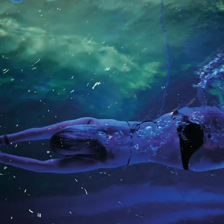 The Cambrian-2