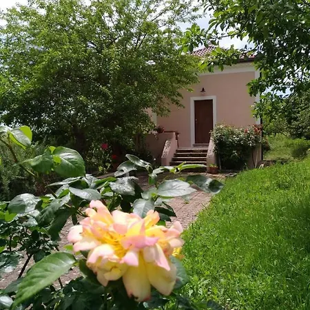 L'Antico Gelso-2
