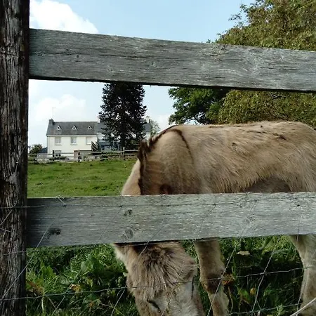 Un Dimanche A La Campagne-3