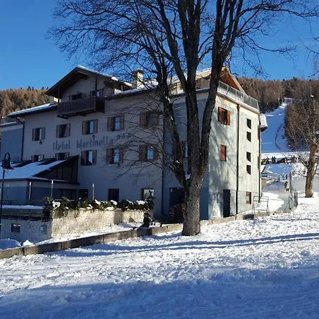 Hotel Martinella-2