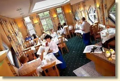 Hotel Alte Mühle-3
