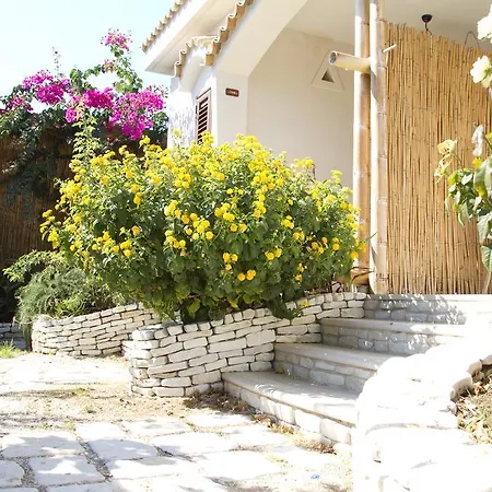 Oasi Beach Hotel-2