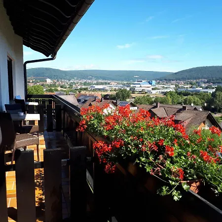 Hotel - Gasthof Spessarttor&Hotel Bergwiesen - Zimmer mit Balkon-3