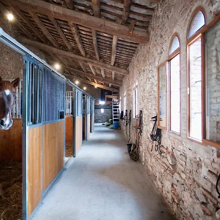 Can Borrell Villa Carmen-2