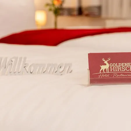 Hotel Restaurant Goldener Hirsch-2