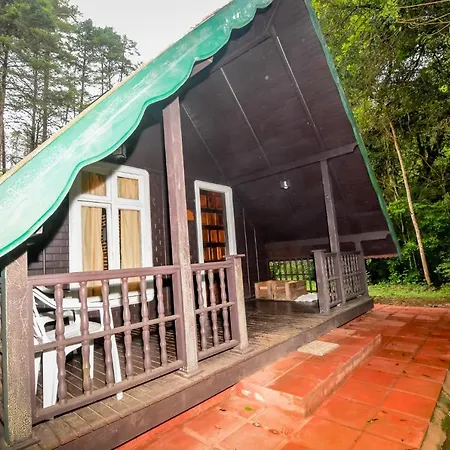 Hotel Fazenda Floresta Negra-3