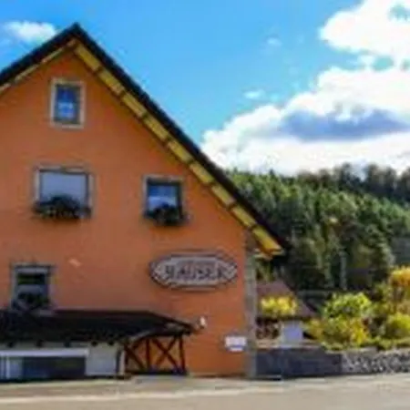 Landgasthof Hauser OHG-3