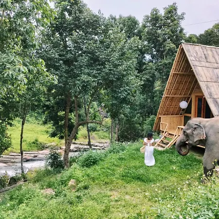 Chai Lai Orchid-2
