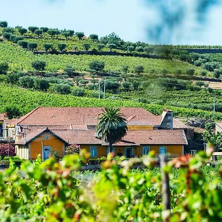 Quinta Do Monte Travesso - Country Houses & Winery-2