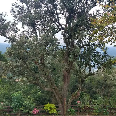 Pousada Estrela da Serra-3