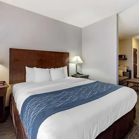 Comfort Inn & Suites Oklahoma City West - I-40-2