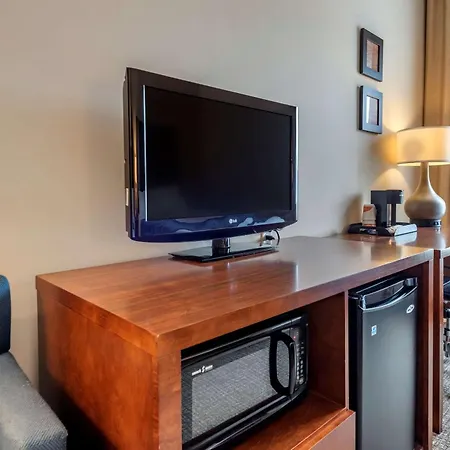 Comfort Inn Apalachin - Binghamton W Route 17-2
