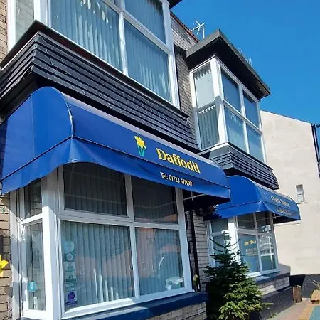 Daffodil Guest House-3