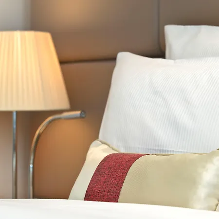 Plaza Hotel Capitole Toulouse-3