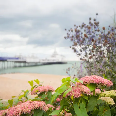 Citrus Hotel Eastbourne By Compass Hospitality-2