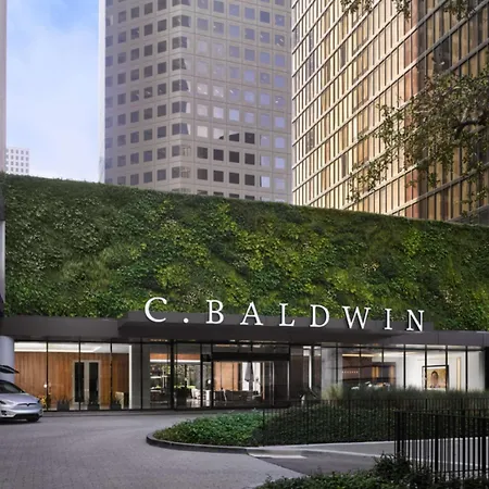 C. Baldwin, Curio Collection By Hilton-3