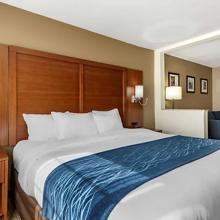 Comfort Inn & Suites Texas Hill Country-2