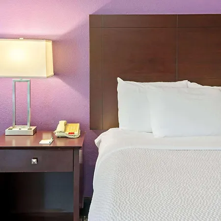 La Quinta By Wyndham Houston - Magnolia-2