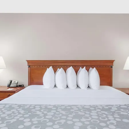 Days Inn By Wyndham St Augustine/Historic Downtown-2