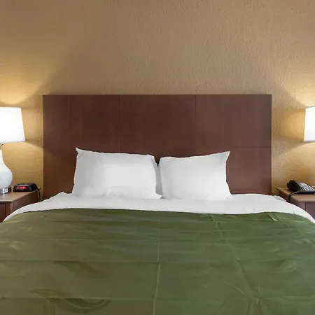 Quality Inn Saint Petersburg North-Tampa Bay-2