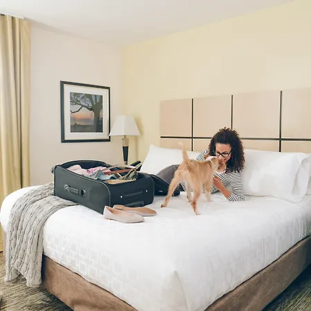 Sonesta Simply Suites Detroit Ann Arbor-2