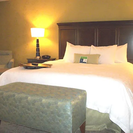 Hampton Inn & Suites Manteca-2