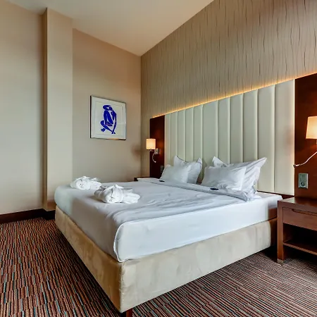 Copernicus Torun Hotel-2