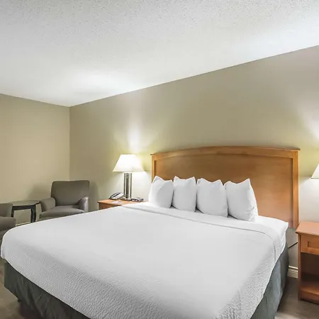 Quality Inn West Edmonton-2